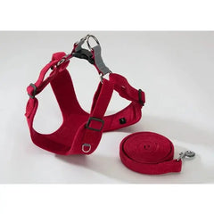 Reflective Dog Harness Bargain Buzz