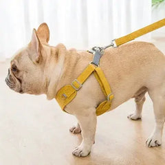 Reflective Dog Harness Bargain Buzz