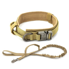 Spoil your furry friend with our high-quality Dog Collar Bargain Buzz