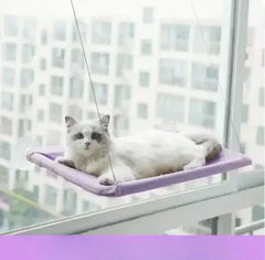 Suspended Bed for Pets Bargain Buzz