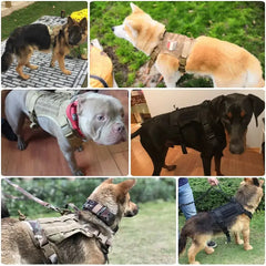 Tactical K9 Harness Bargain Buzz