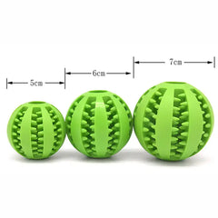 Watermelon Ball Dog Chew Toy Bargain Buzz