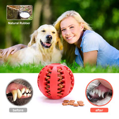 Watermelon Ball Dog Chew Toy Bargain Buzz