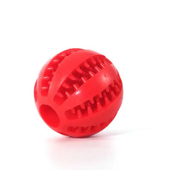 Watermelon Ball Dog Chew Toy Bargain Buzz