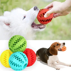 Watermelon Ball Dog Chew Toy Bargain Buzz