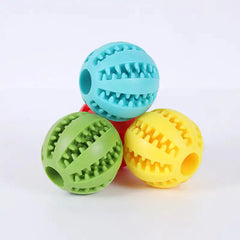 Watermelon Ball Dog Chew Toy Bargain Buzz